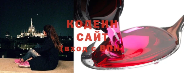 крисы Галич