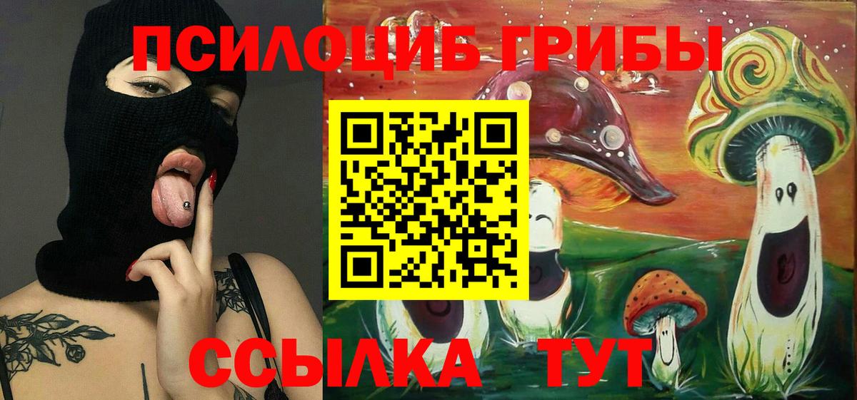 Галлюциногенные грибы мухоморы Светлоград